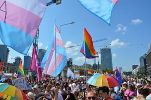 LGBT and Trans pride flags held over parade of people.