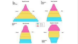 A graphic showing four different population pyramids for different countries.